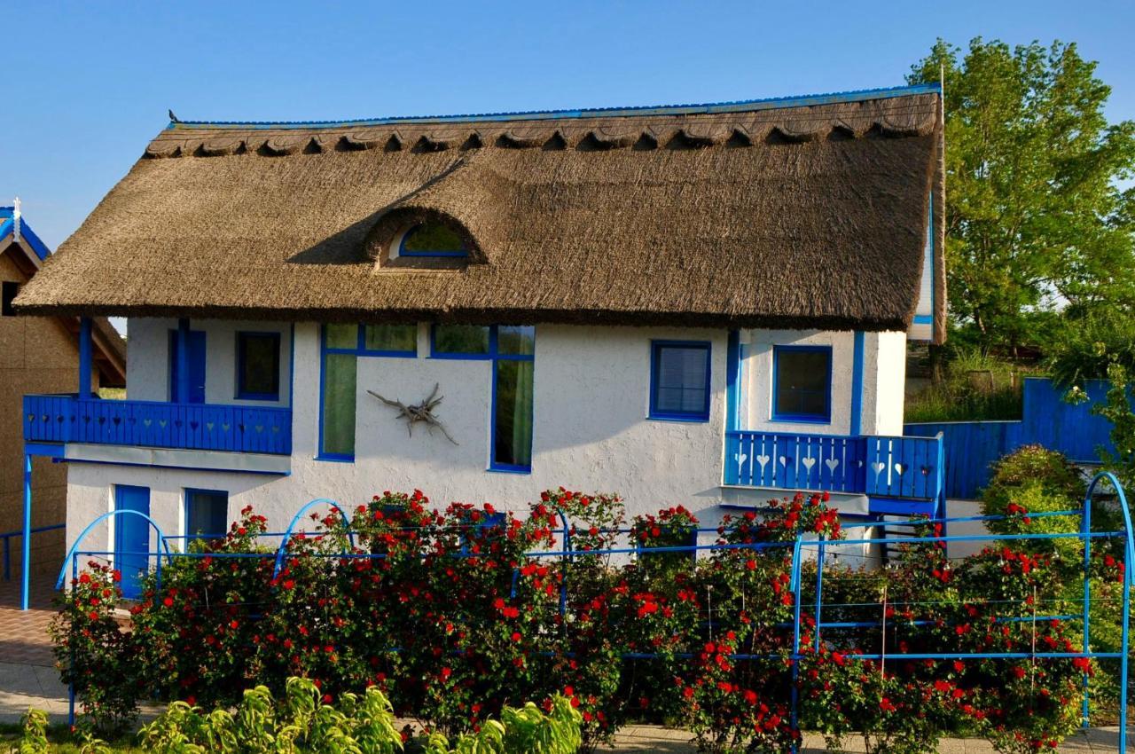 Nena Art Resort Dunavăţu de Jos Buitenkant foto