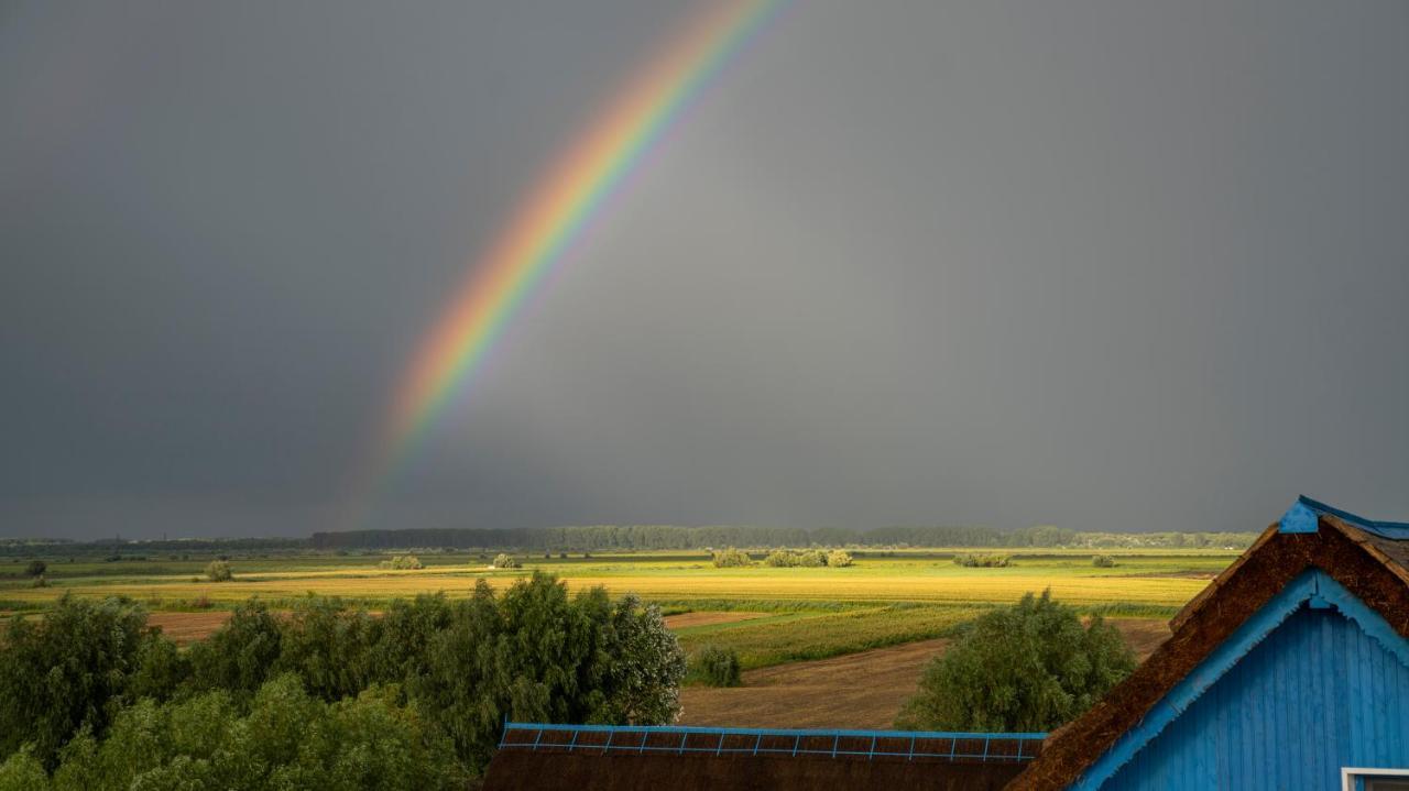 Nena Art Resort Dunavăţu de Jos Buitenkant foto