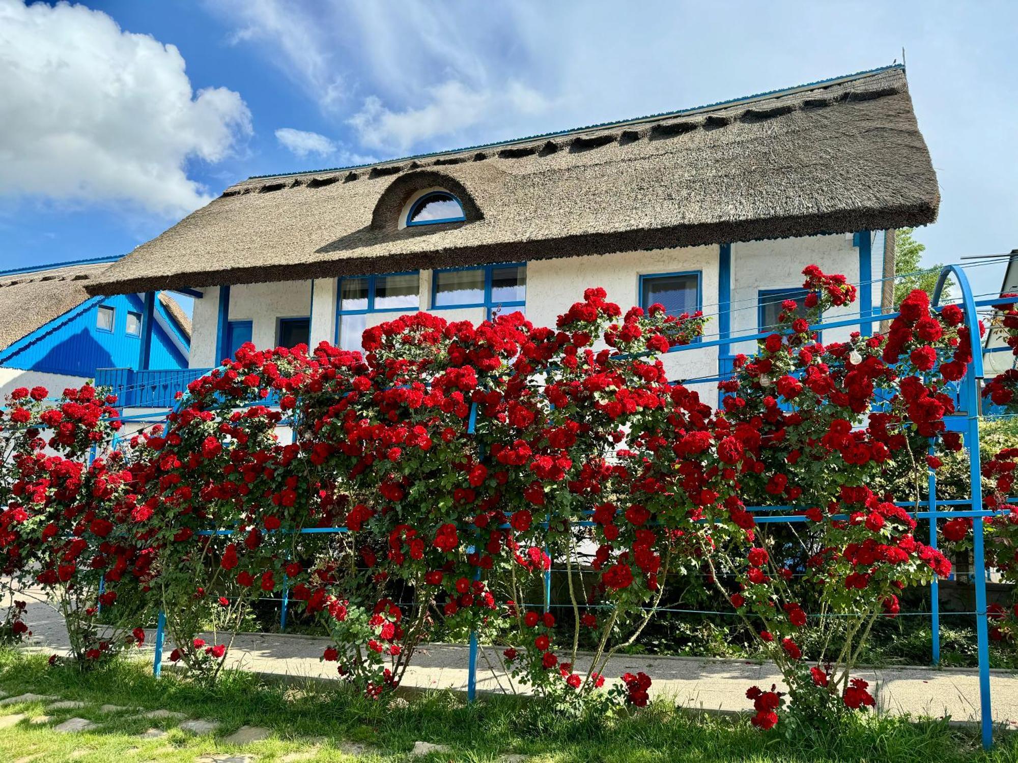 Nena Art Resort Dunavăţu de Jos Buitenkant foto