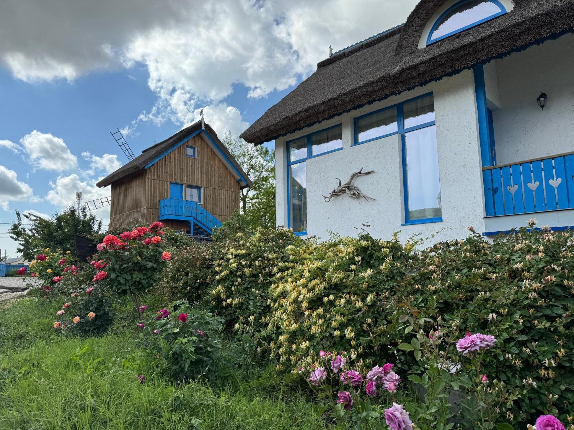 Nena Art Resort Dunavăţu de Jos Buitenkant foto