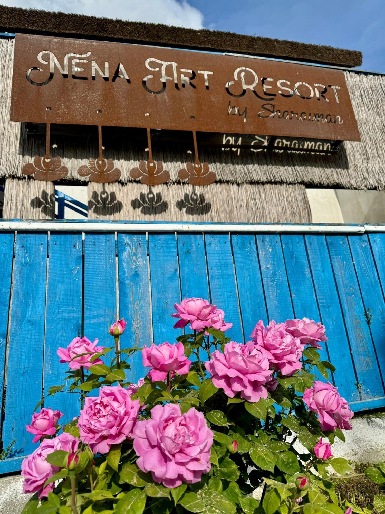 Nena Art Resort Dunavăţu de Jos Buitenkant foto