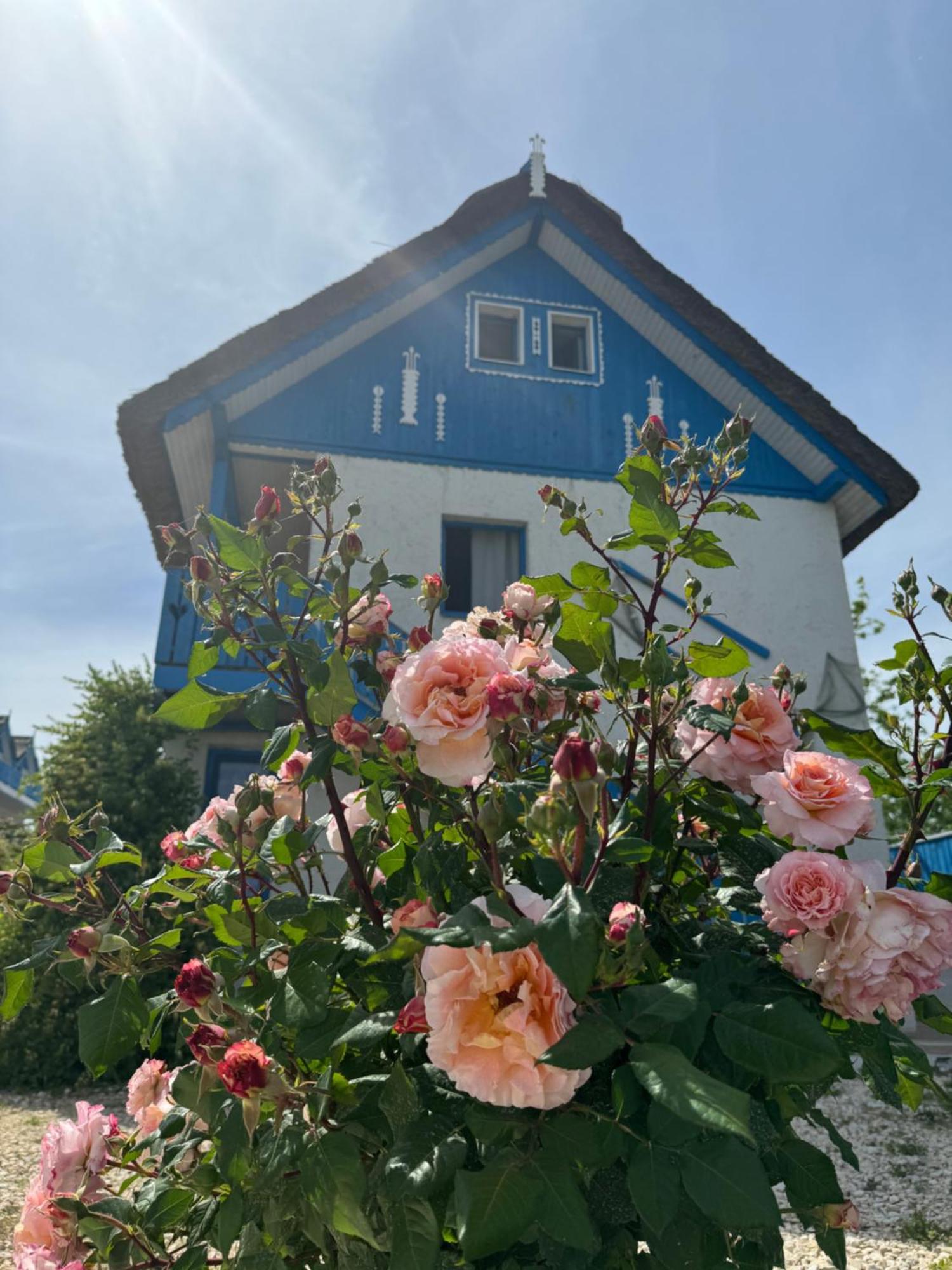 Nena Art Resort Dunavăţu de Jos Buitenkant foto