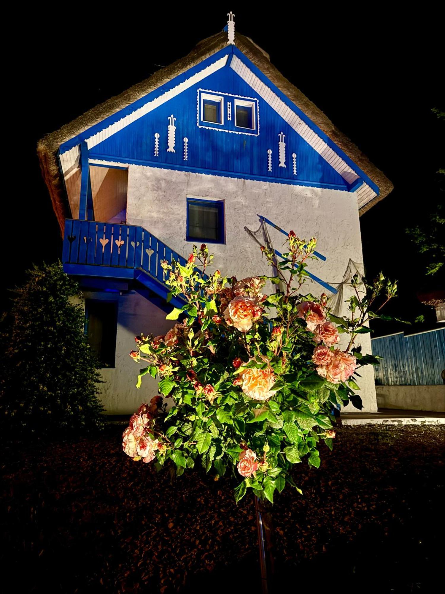 Nena Art Resort Dunavăţu de Jos Buitenkant foto