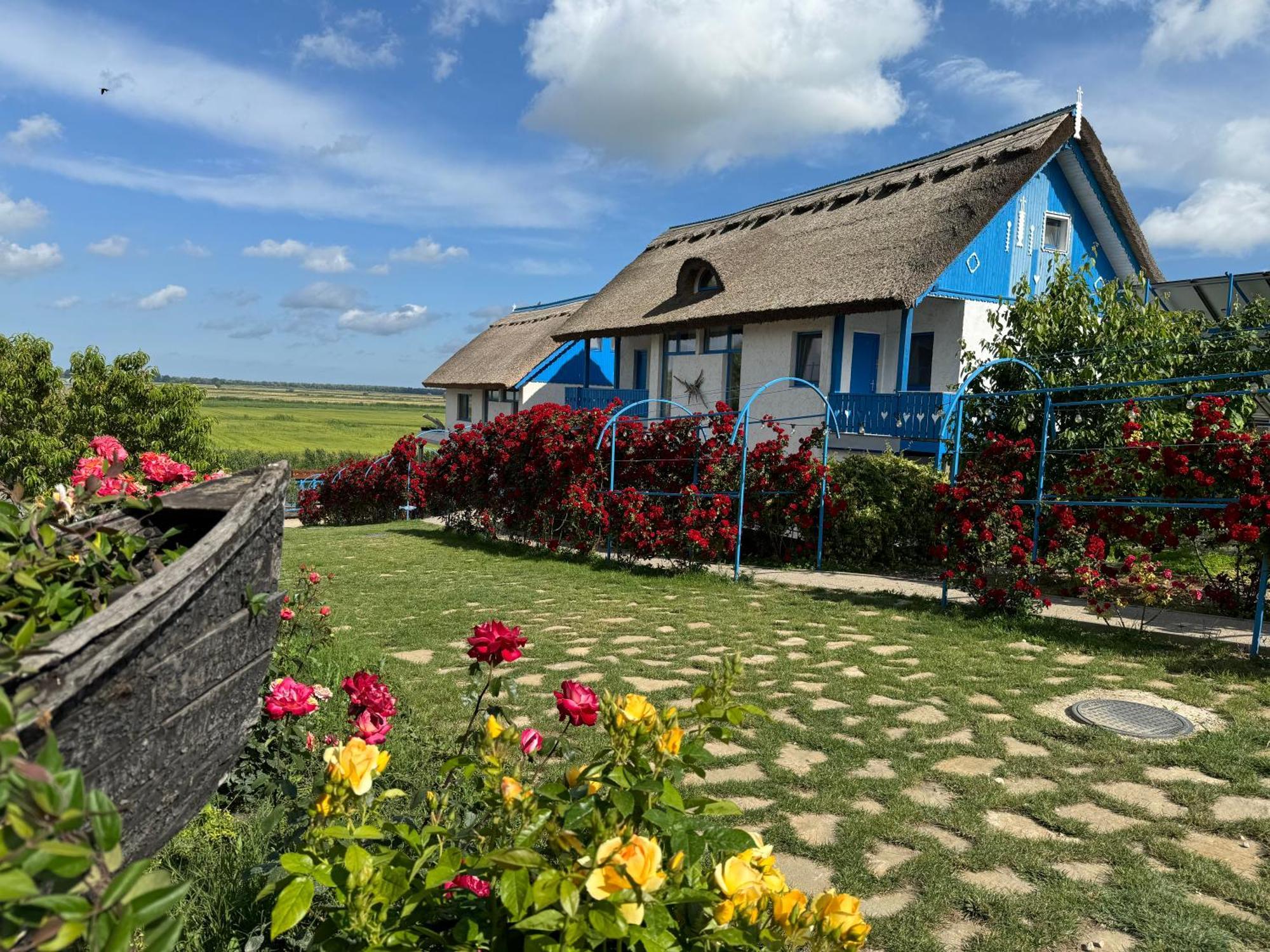 Nena Art Resort Dunavăţu de Jos Buitenkant foto