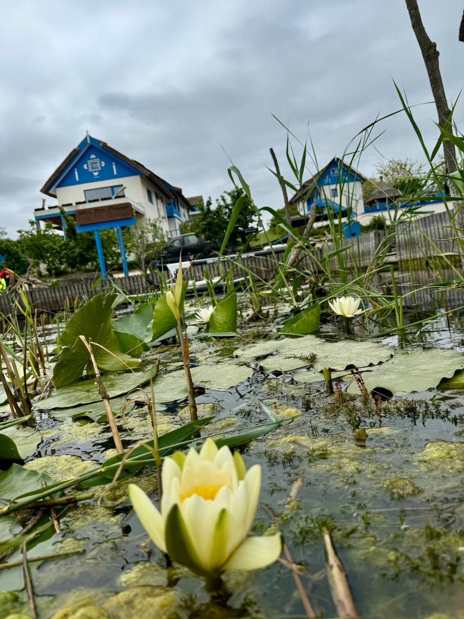 Nena Art Resort Dunavăţu de Jos Buitenkant foto